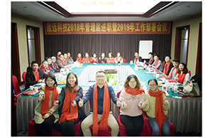 NG电子游戏科技2018年治理层述职暨2019年岁情安排聚会