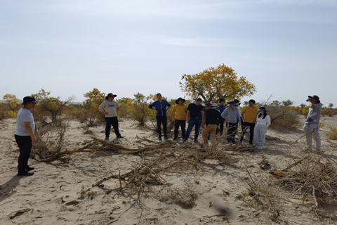 NG电子游戏·(中国区)官方网站