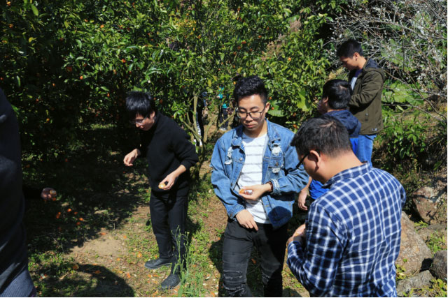 NG电子游戏·(中国区)官方网站