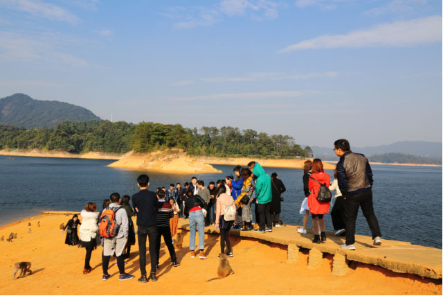 NG电子游戏·(中国区)官方网站